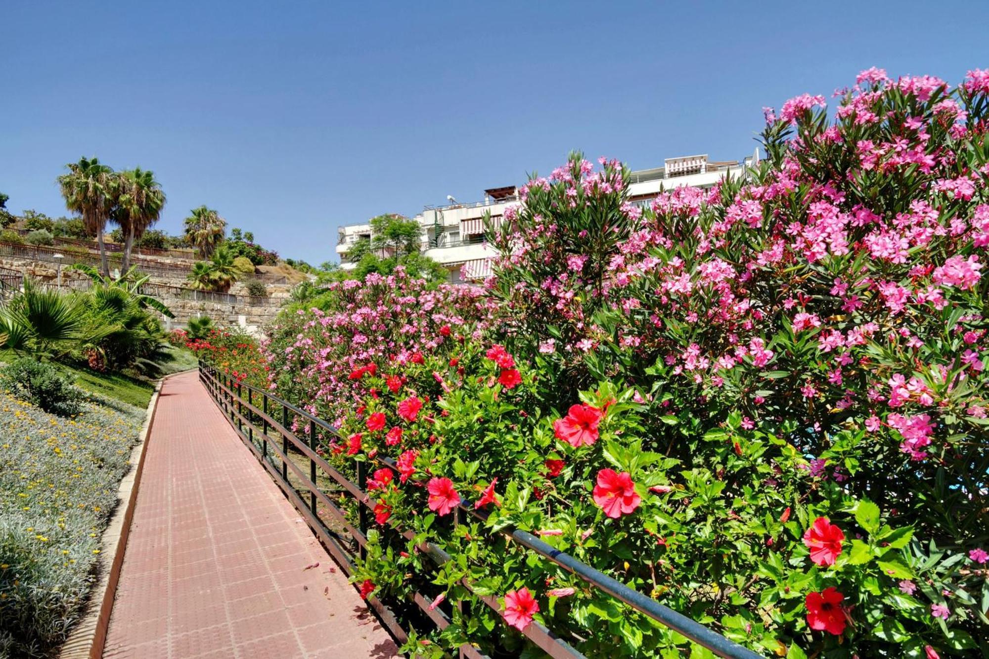 Del Parque Flats - Golf & Beach Terrace Málaga Kültér fotó